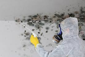 Best Biohazard Mold Removal  in Sun Village, CA